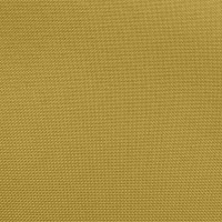 Acid Green Polyester